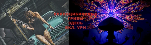 mdpv Алзамай