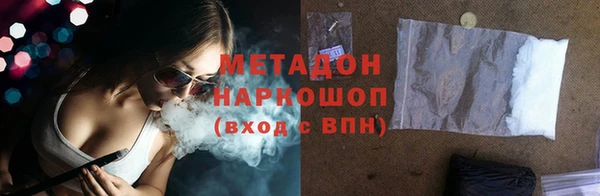 индика Алексин