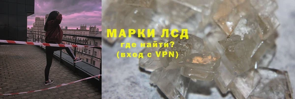 индика Алексин