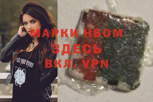 индика Алексин