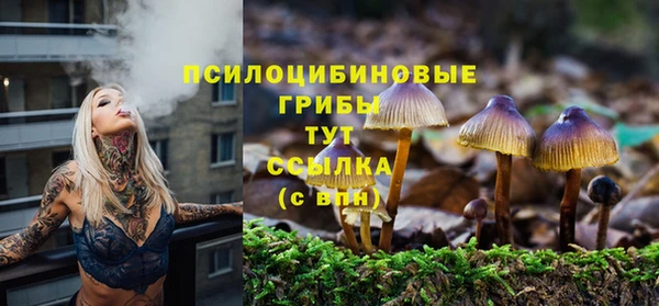 mdpv Алзамай