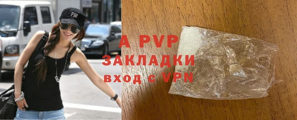 индика Алексин