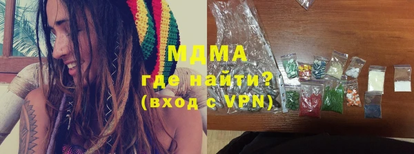 индика Алексин