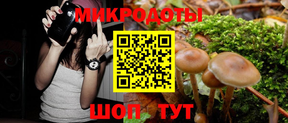 Галлюциногенные грибы GOLDEN TEACHER Камышлов