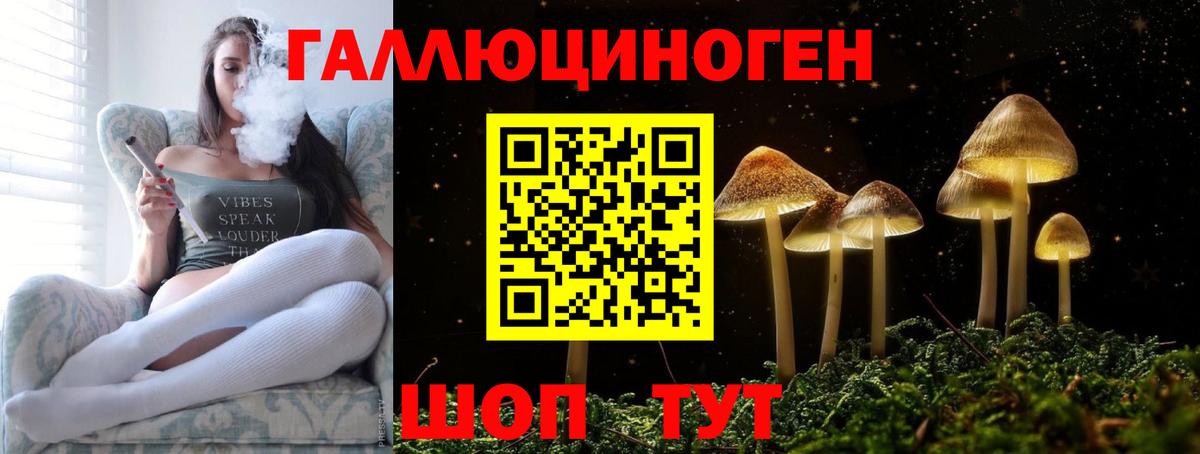 Псилоцибиновые грибы MAGIC MUSHROOMS  Вход с VPN  Псилоцибиновые грибы прущие грибы  Камышлов 